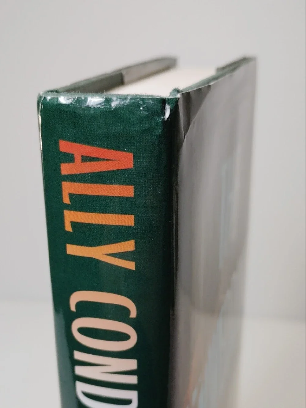 The Unwedding by Ally Condie - Teal & Green Hardcover Novel